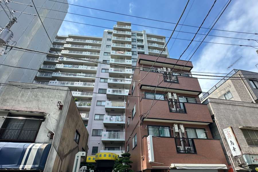 サンライン板橋本町の外観（南側から）