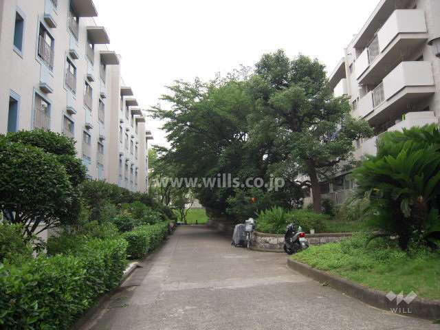 団地内の共有スペース。植栽が多く、緑豊かです。