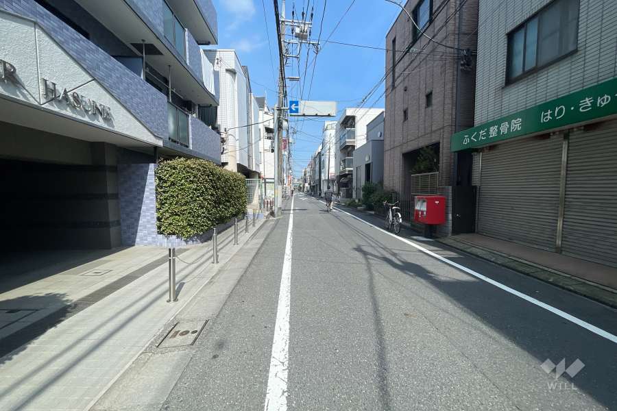 敷地西側の前面道路（北側から）
