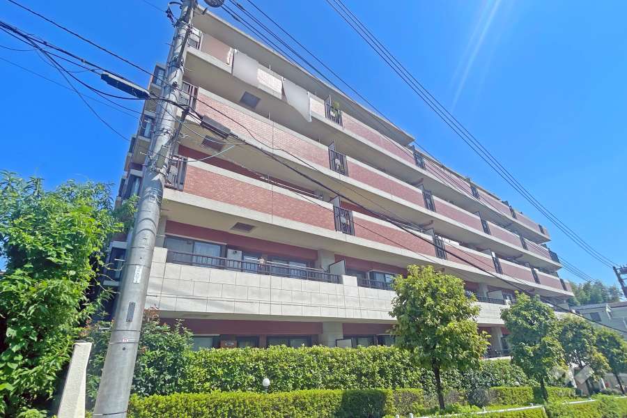 ダイアパレス赤塚公園の外観（南西側から）