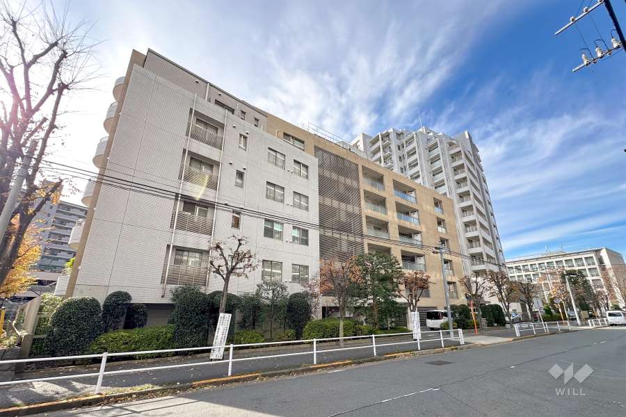 テラス加賀の外観（北東側から）