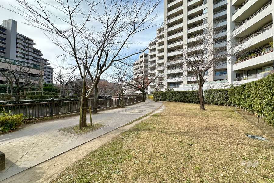 敷地南側の前面道路（東側から）