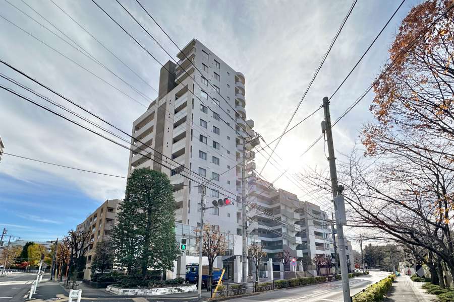 テラス加賀の外観（北側から）