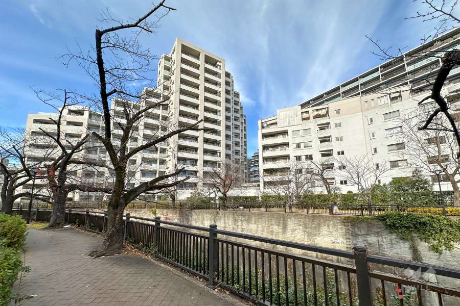 テラス加賀の外観（南東側から）