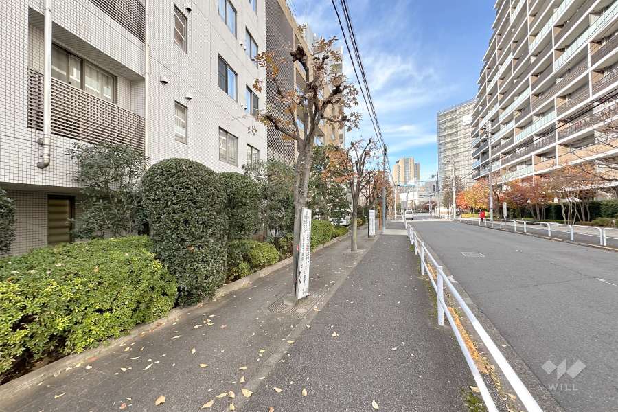 敷地北東側の前面道路（南東側から）