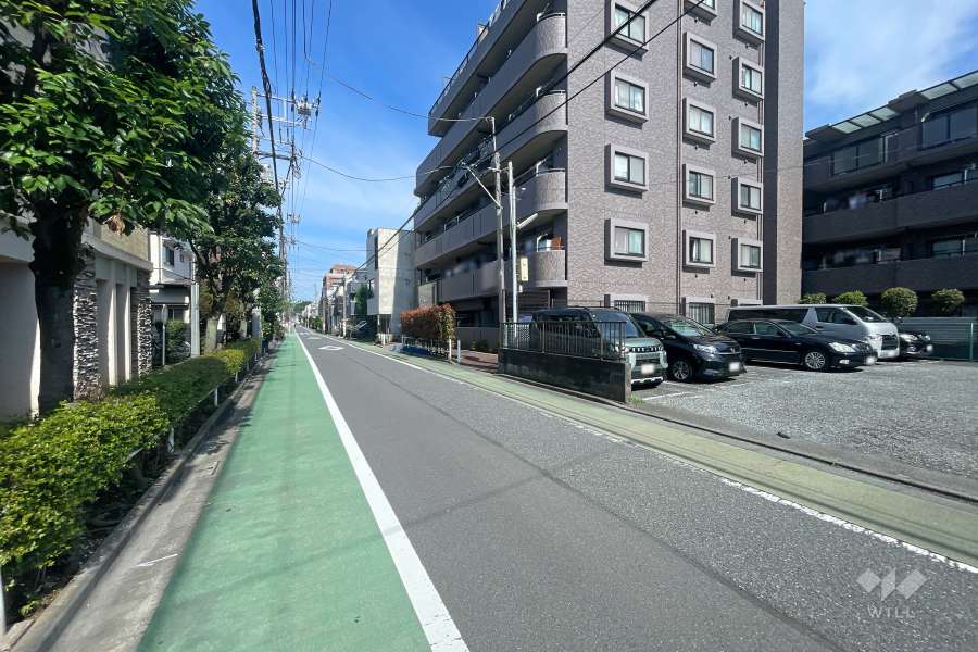 敷地南側の前面道路　