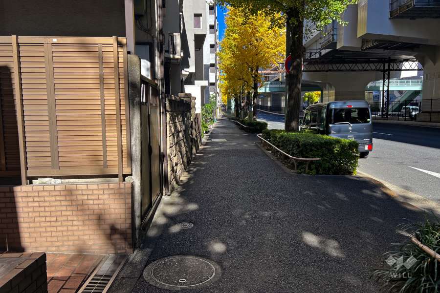 敷地東側の前面道路（南側から）