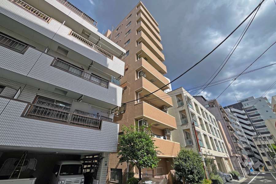 スカーラ池袋西の外観（南西側から）