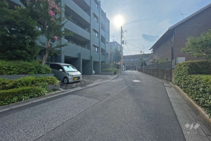 敷地南側の前面道路（西側から）