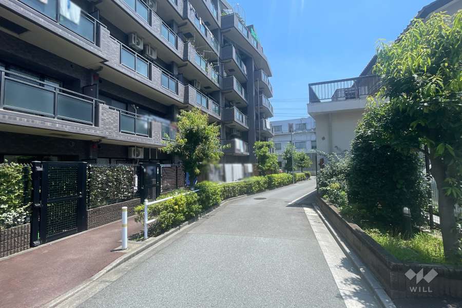 敷地南側の前面道路　