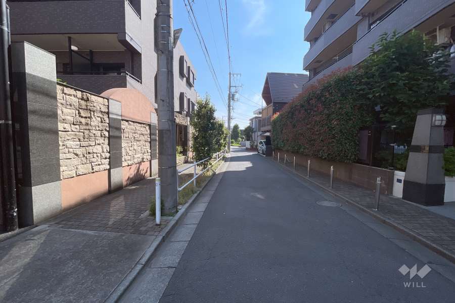 敷地の東側前面道路（北側から）