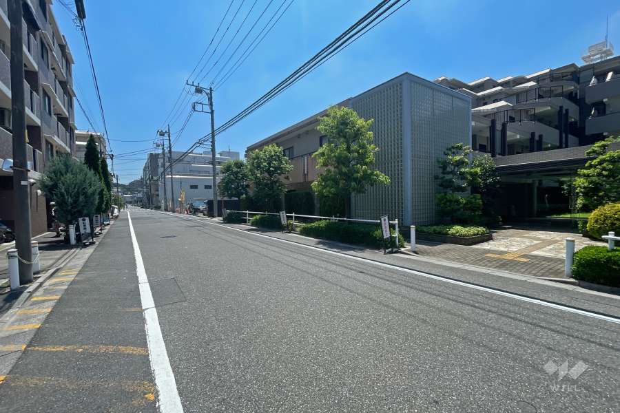 敷地東側の前面道路（北側から）