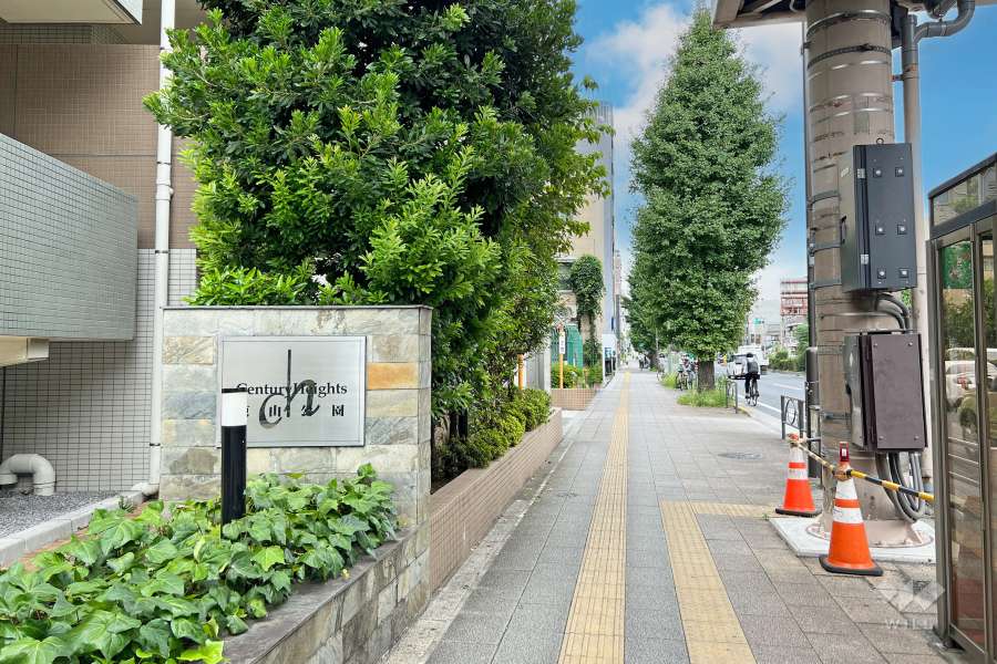 敷地北東側の前面道路　