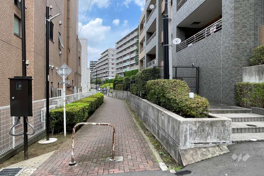 敷地西側の前面道路（南側から）