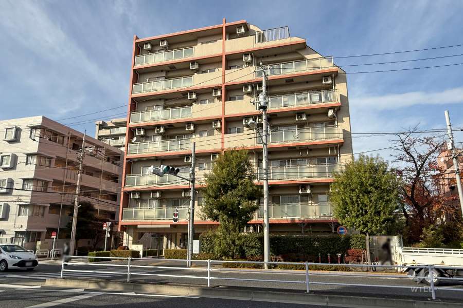 マイキャッスル志村パークサイドの外観（南東側から）