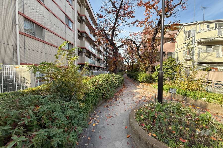 敷地東側の前面道路