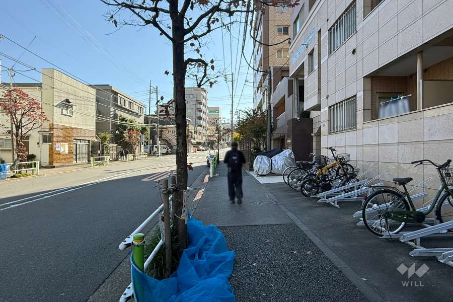 敷地東側の前面道路（北側から）