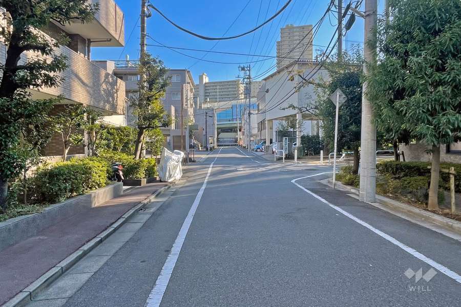 敷地の西側前面道路（北側から）
