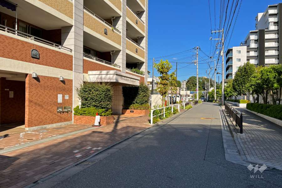 敷地南側の前面道路（西側から）