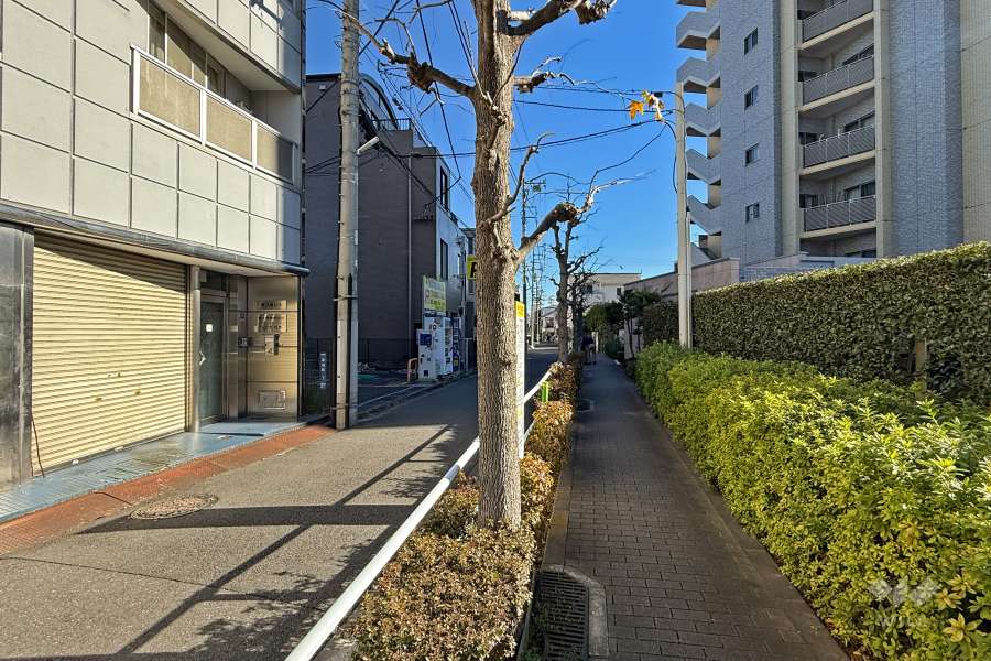 敷地北側の前面道路（西側から）