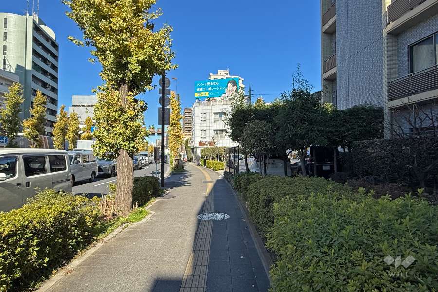 敷地西側の前面道路（南側から）
