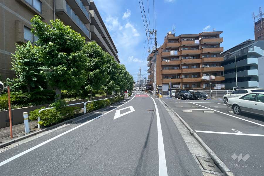 敷地東側の前面道路（南側から）