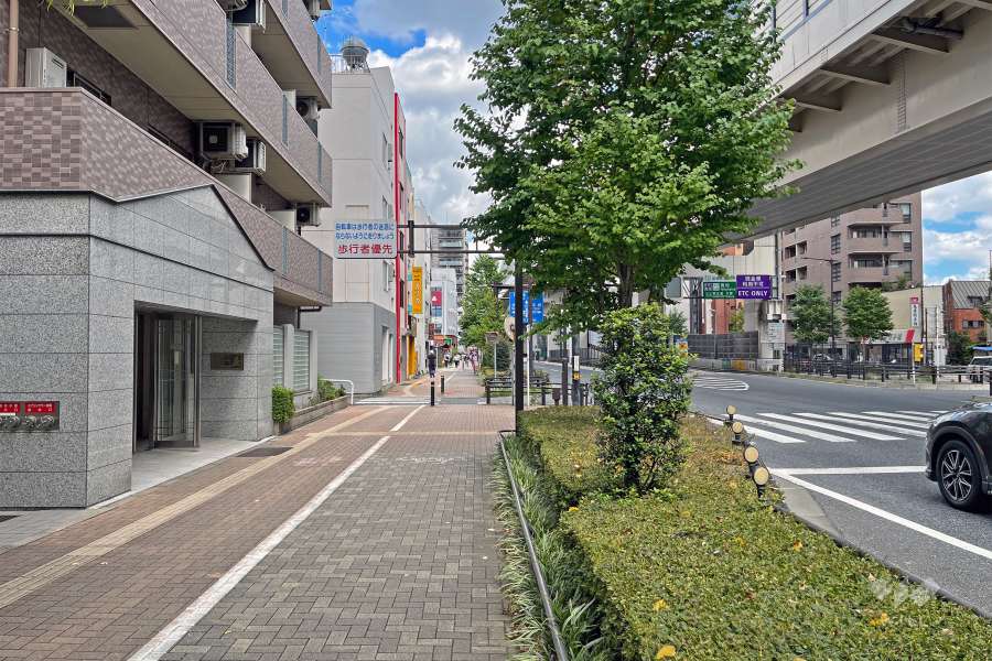 敷地の南側前面道路（西側から）