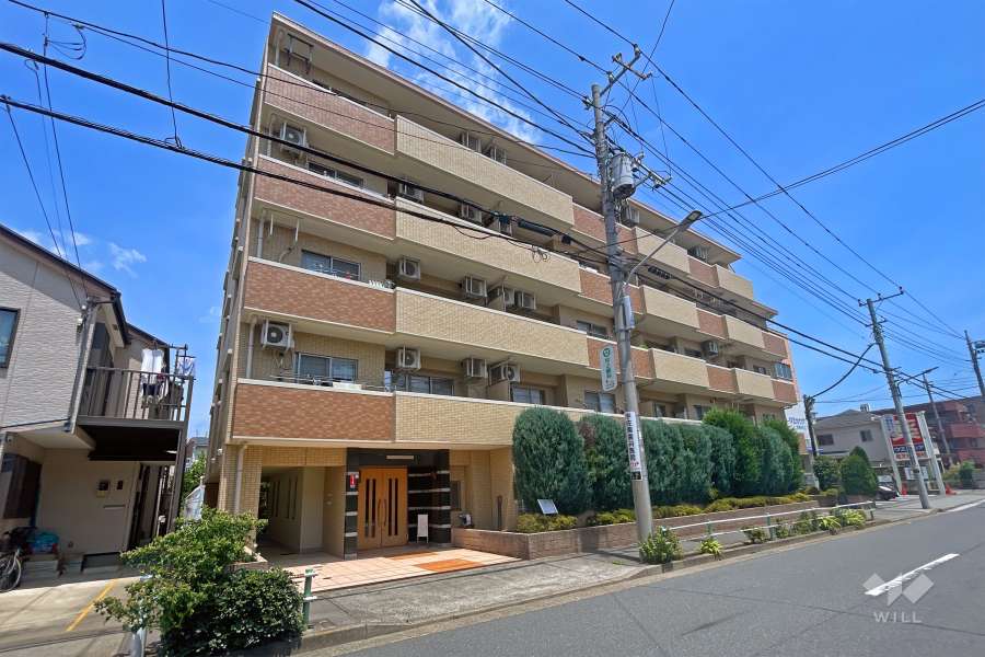 グーディッシュ東武練馬の外観（南西側から）