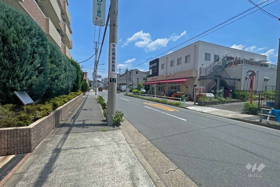 敷地の南側前面道路（西側から）