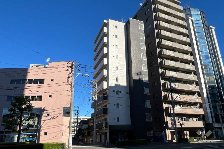 ヴェルト板橋イーストの遠景（南西側から）