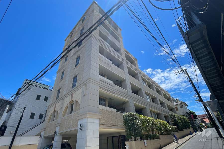 グランシティユーロパレス大山の外観（北西側から）