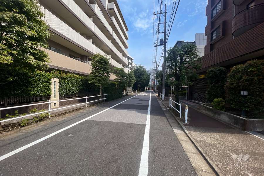 敷地南西側前面道路（北西側から）
