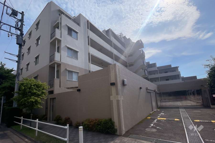 リビオ小豆沢公園アゼニスの外観（北東側から）