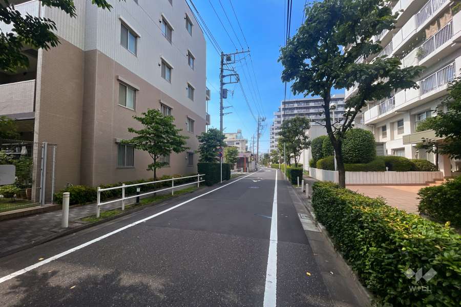 敷地北東側の前面道路（南東側から）