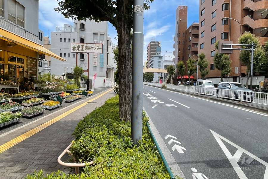 敷地南東側の前面道路　