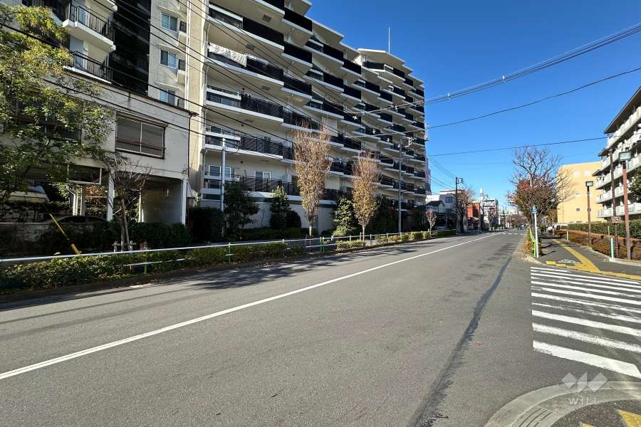 敷地東側の前面道路
