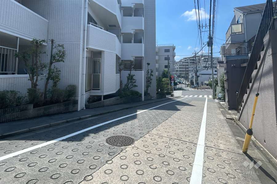 敷地の西側前面道路（北側から）