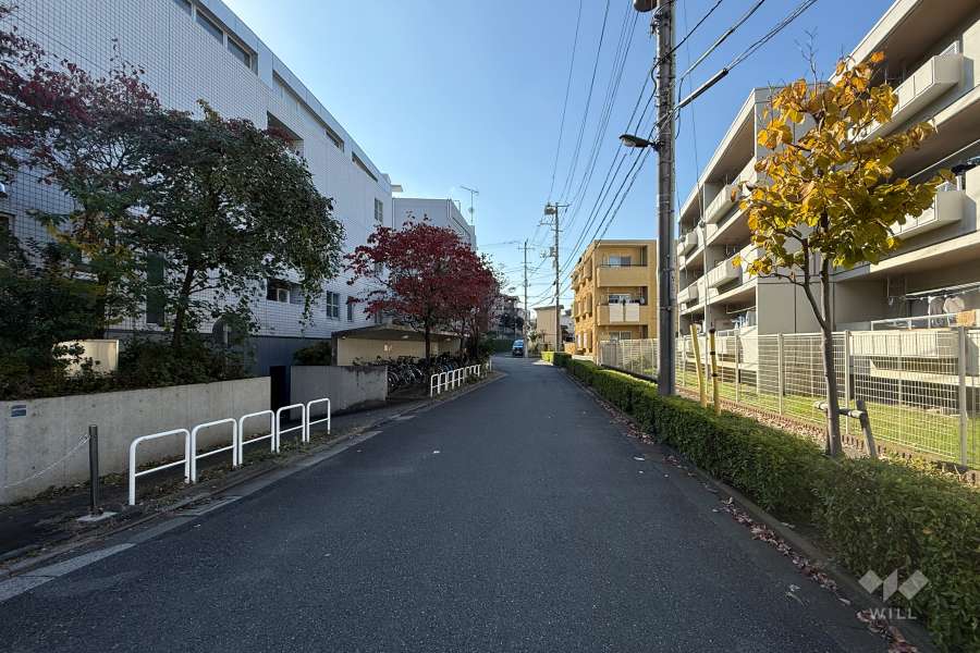敷地の西側前面道路（東側から）