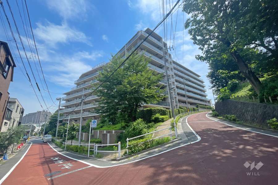 ブライトヒルズの外観（南西側から）