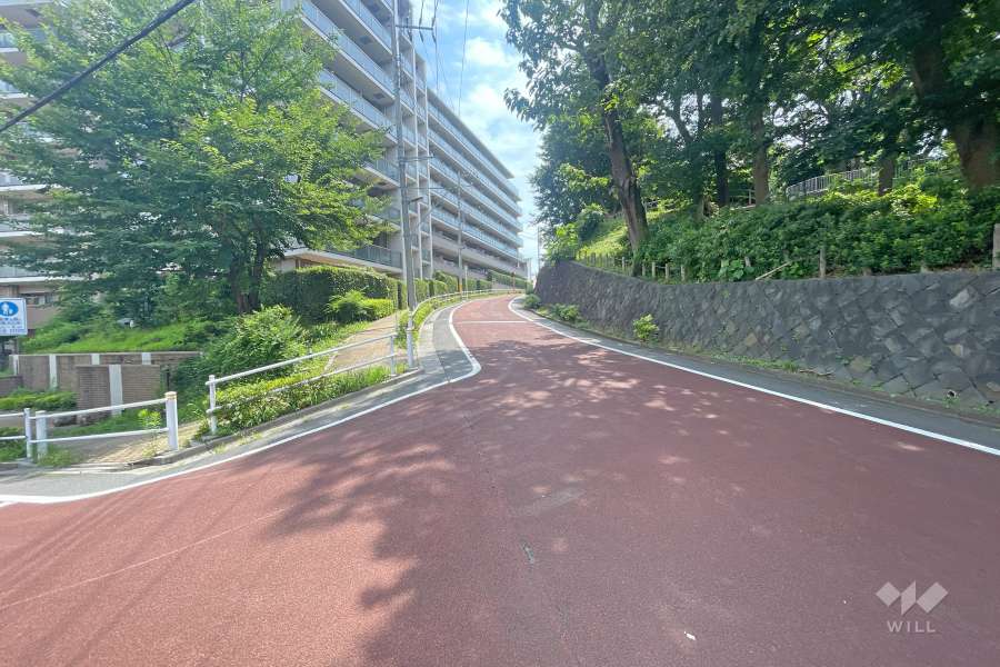 敷地南側の前面道路（西側から）