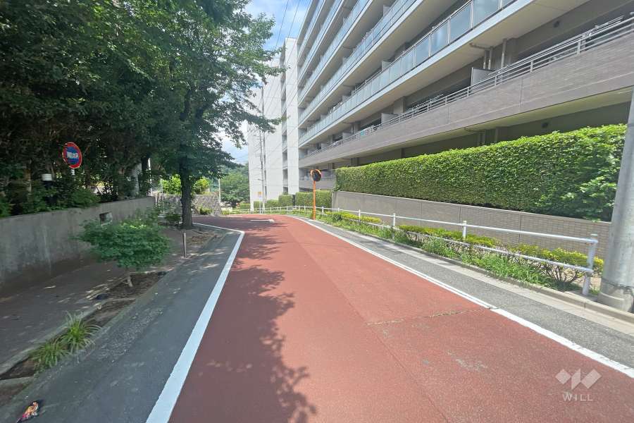 敷地南側の前面道路（東側から）