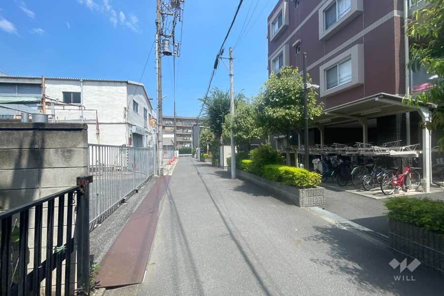 敷地の北側前面道路（西側から）