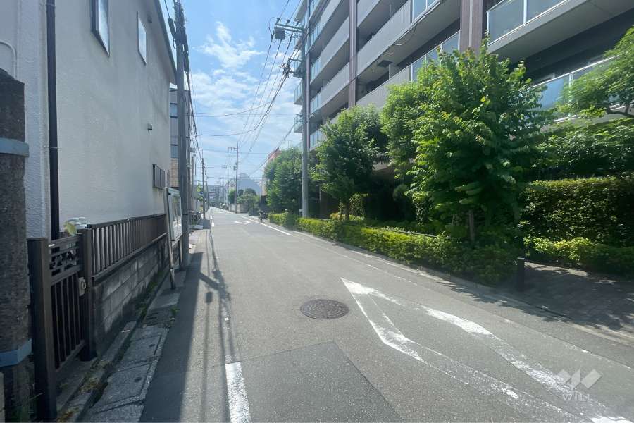 敷地の南側前面道路（東側から）