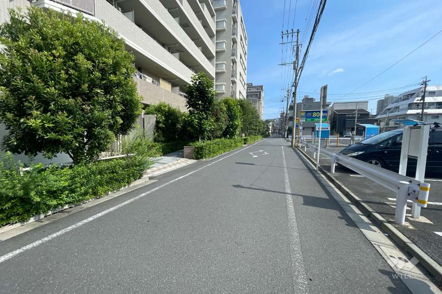 敷地西側の前面道路（北側から）