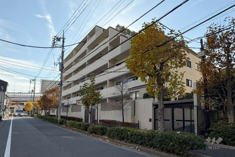 アトラス志村三丁目の外観（北側から）