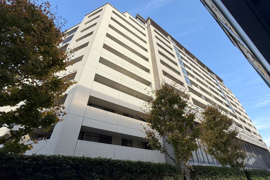 アトラス志村三丁目の外観（南西側から）