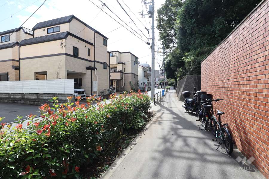 敷地の南東側前面道路（北東側から）