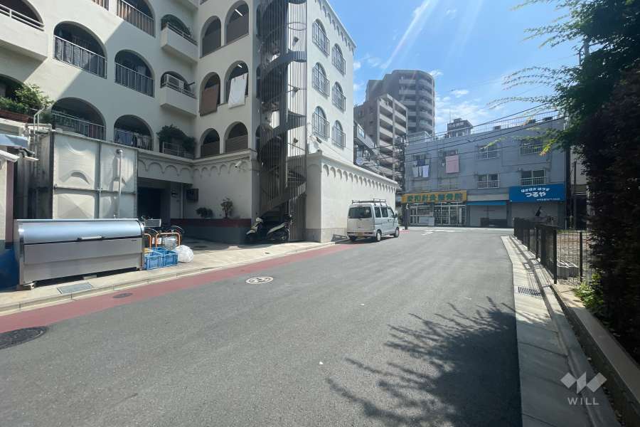 敷地の南側前面道路（西側から）