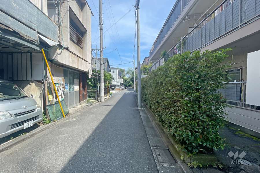 敷地西側の前面道路（南側から）