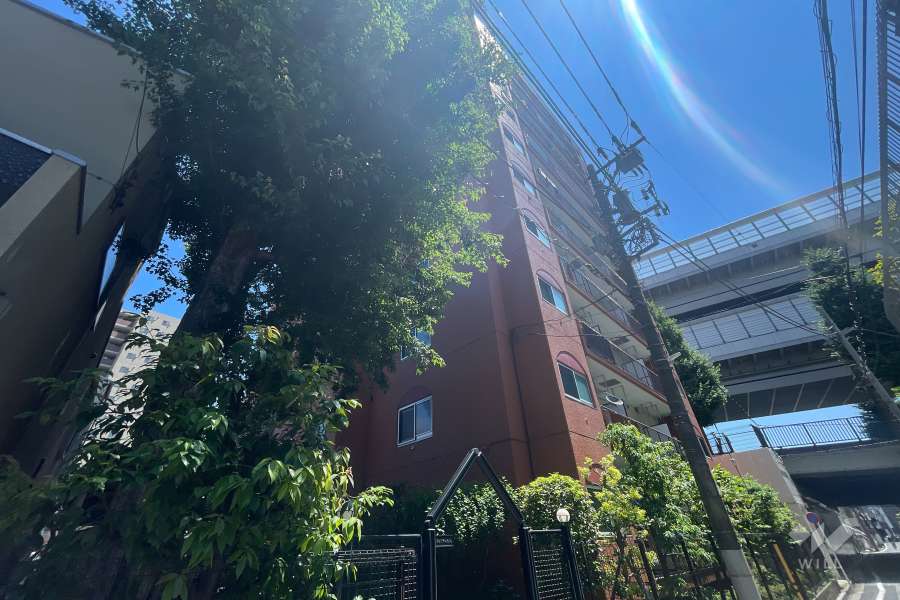 クオリティ大山の外観（南西側から）